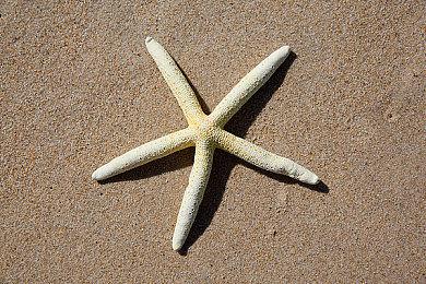 《罪恶装备：Strive》新DLC角色5月25日上线 季票3公布