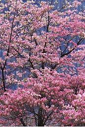 知名爆料人billbil_kun回顾2023年 涨粉4万不搞假消息标题党