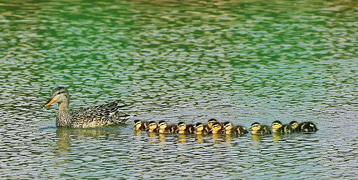 《死亡之屋2：重制版》PC配置需求 GTX1070就能爽玩